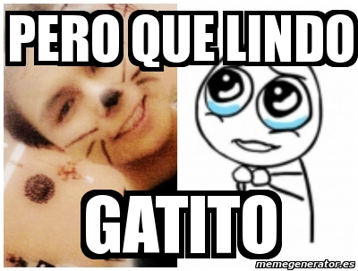 Meme Personalizado Pero Que Lindo Gatito 3832460