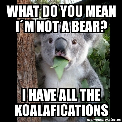 Meme Koala What do you mean iÂm not a bear i HAVE ALL THE