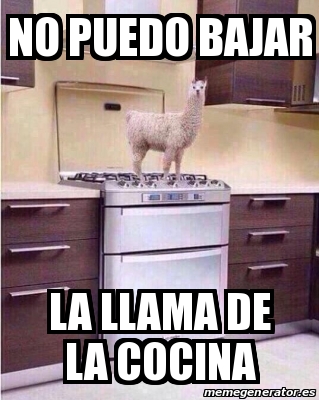 Meme Personalizado No Puedo Bajar La Llama De La Cocina 30197199