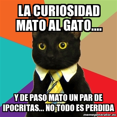 Meme Business Cat La Curiosidad Mato Al Gato Y De Paso Mato Un