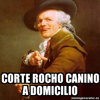 Meme Joseph Ducreux Corte Rocho Canino A Domicilio