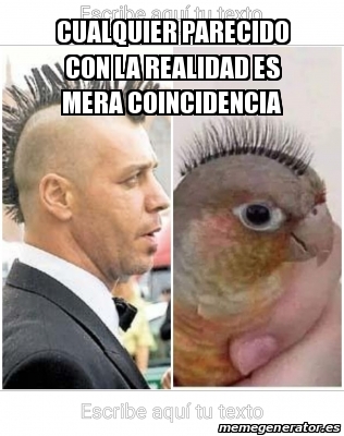 Meme Personalizado Cualquier Parecido Con La Realidad Es Mera