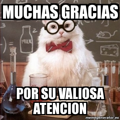 Meme Chemistry Cat Muchas Gracias Por Su Valiosa Atencion