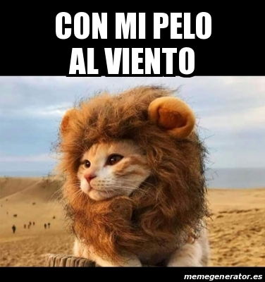 Meme Personalizado Con Mi Pelo Al Viento