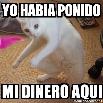 Las Mejores Meme De Gato Yo Habia Ponido Armadyne Mx