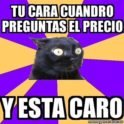 Meme Anxiety Cat Tu Cara Cuandro Preguntas El Precio Y Esta Caro