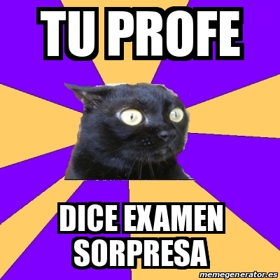 Meme Anxiety Cat Tu Profe Dice Examen Sorpresa 31179445