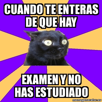 Meme Anxiety Cat Cuando Te Enteras De Que Hay Examen Y No Has