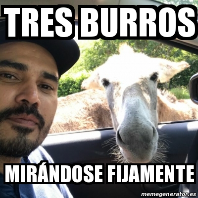 Meme Personalizado Tres burros MirÃndose fijamente 31283234