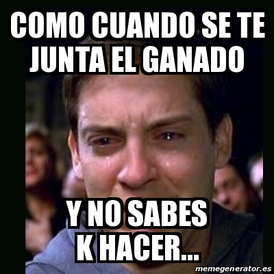 Meme Crying Peter Parker Como Cuando Se Te Junta El Ganado Y No Sabes