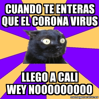 Meme Anxiety Cat Cuando Te Enteras Que El Corona Virus Llego A Cali