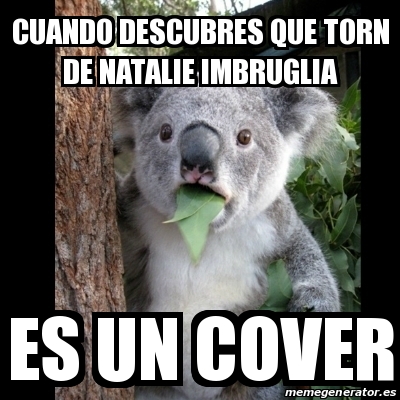 Meme Koala Cuando Descubres Que Torn De Natalie Imbruglia Es Un Cover