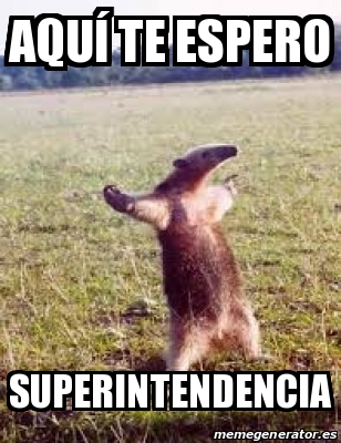 Meme Personalizado AquÃ te espero Superintendencia 31387340