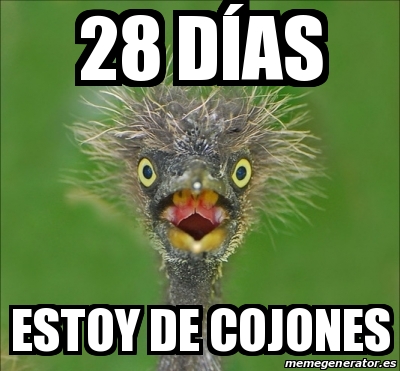 Meme Personalizado D As Estoy De Cojones