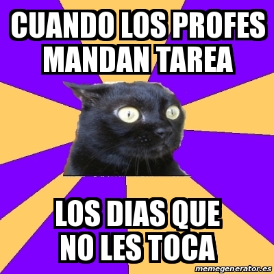 Meme Anxiety Cat Cuando Los Profes Mandan Tarea Los Dias Que No Les