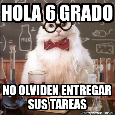 Meme Chemistry Cat Hola Grado No Olviden Entregar Sus Tareas