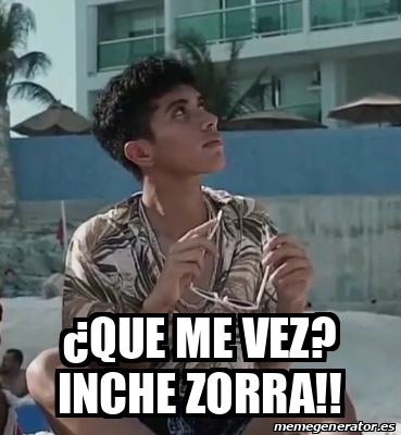 Meme Personalizado Que Me Vez Inche Zorra 31717760