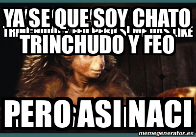 Meme Personalizado YA SE QUE SOY CHATO TRINCHUDO Y FEO PERO ASI NACI