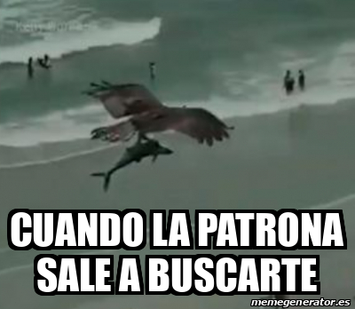 Meme Personalizado Cuando La Patrona Sale A Buscarte 31735081