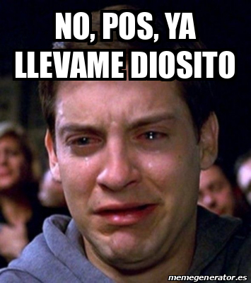 Meme Personalizado No Pos Ya Llevame Diosito