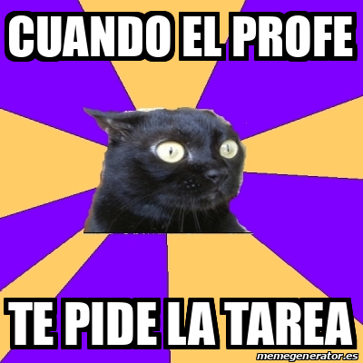 Meme Anxiety Cat Cuando El Profe Te Pide La Tarea