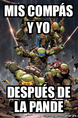 Meme Personalizado Mis Comp S Y Yo Despu S De La Pande