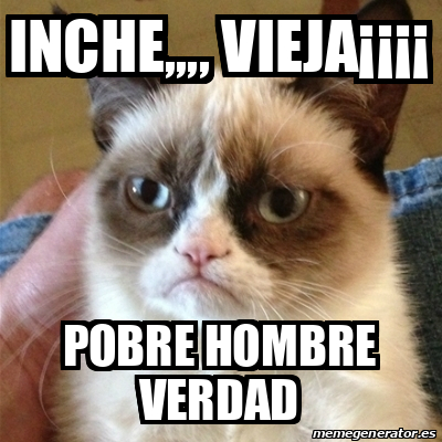 Meme Grumpy Cat Inche Vieja Pobre Hombre Verdad 31844069