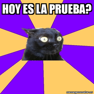 Meme Anxiety Cat Hoy Es La Prueba 31875432