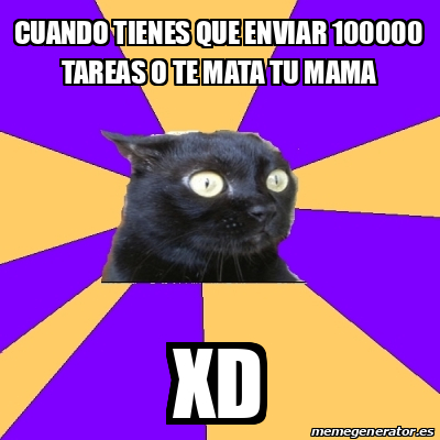 Meme Anxiety Cat Cuando Tienes Que Enviar 100000 Tareas O Te Mata Tu