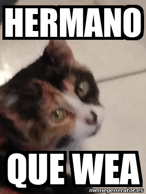 Meme Personalizado Hermano Que Wea 31934625