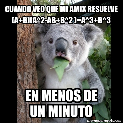 Meme Koala CUANDO VEO QUE MI AMIX RESUELVE A B A 2 AB B 2 A 3 B 3