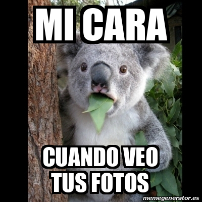 Meme Koala Mi Cara Cuando Veo Tus Fotos 32102127