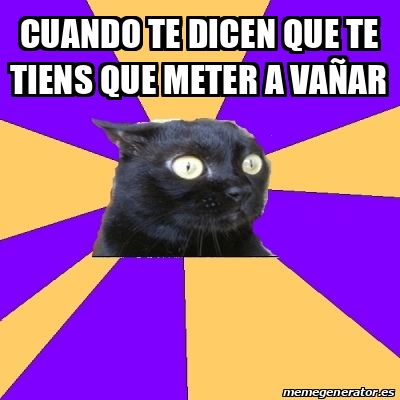 Meme Anxiety Cat Cuando Te Dicen Que Te Tiens Que Meter A Va Ar