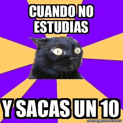 Meme Anxiety Cat Cuando No Estudias Y Sacas Un 10 32173026