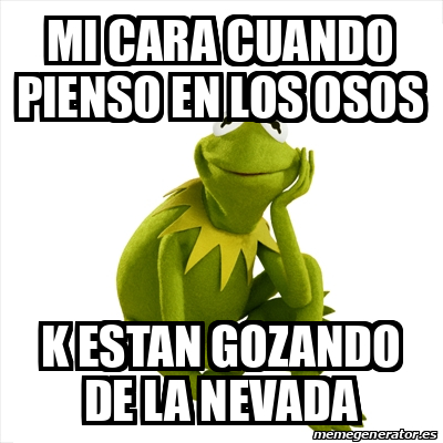 Meme Kermit The Frog MI CARA CUANDO PIENSO EN LOS OSOS K ESTAN