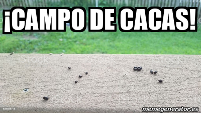 Meme Personalizado Campo De Cacas 32231639