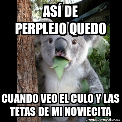 Meme Koala así de perplejo quedo cuando veo el culo y las tetas de mi