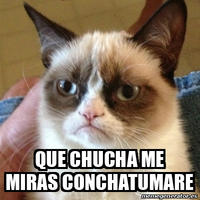 Meme Grumpy Cat Que Chucha Me Miras Conchatumare 32265307