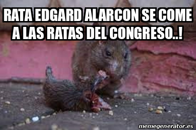 Meme Personalizado RATA EDGARD ALARCON SE COME A LAS RATAS DEL