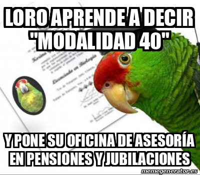 Meme Personalizado Loro Aprende A Decir Modalidad Y Pone Su