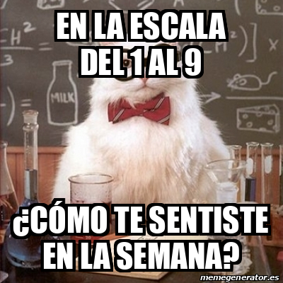 Meme Chemistry Cat En la escala del 1 al 9 cómo te sentiste en la