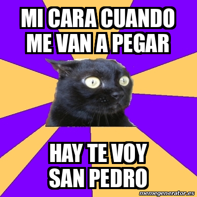 Meme Anxiety Cat Mi Cara Cuando Me Van A Pegar Hay Te Voy San Pedro