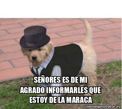 Meme Personalizado Se Ores Es De Mi Agrado Informarles Que Estoy De