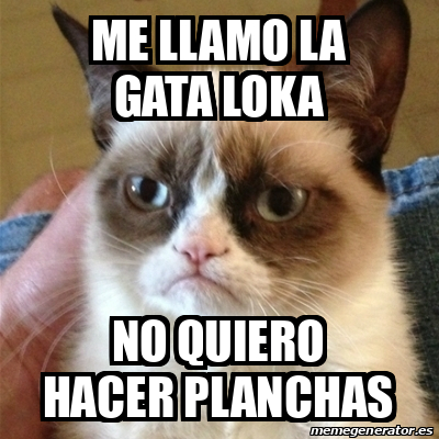 Meme Grumpy Cat Me Llamo La Gata Loka No Quiero Hacer Planchas