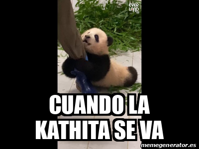 Meme Personalizado Cuando La Kathita Se Va 32465945