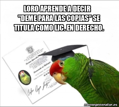 Meme Personalizado Loro Aprende A Decir Deme Para Las Copias Se