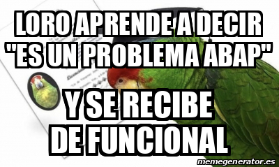 Meme Personalizado Loro Aprende A Decir Es Un Problema Abap Y Se