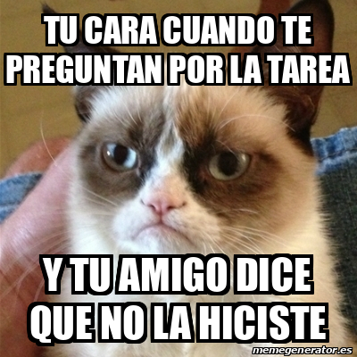 Meme Grumpy Cat Tu Cara Cuando Te Preguntan Por La Tarea Y Tu Amigo