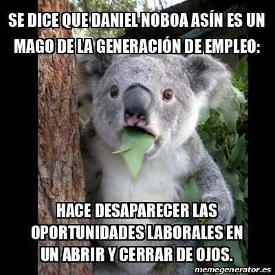 Meme Koala Se dice que Daniel Noboa Asín es un mago de la generación