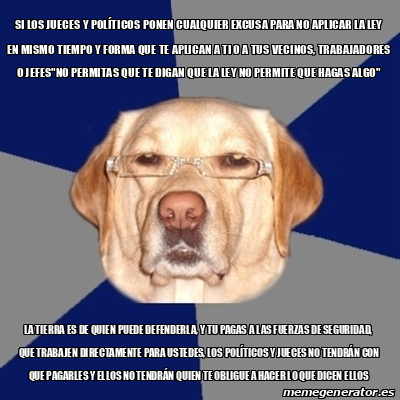 Meme Perro Racista si los jueces y POLÍTICOS ponen CUALQUIER excusa